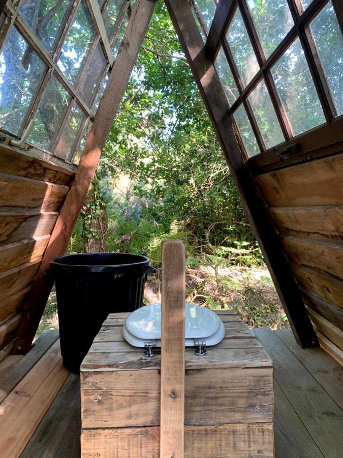 Magic Roof Top Bus With Big Bath In The Tree Forest! Mimizan-Plage Eksteriør bilde