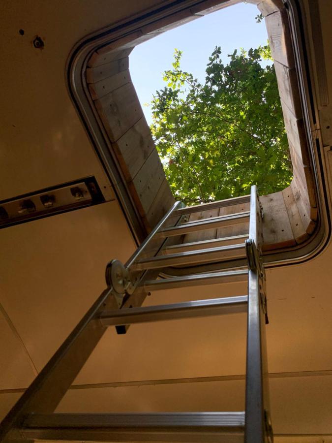 Magic Roof Top Bus With Big Bath In The Tree Forest! Mimizan-Plage Eksteriør bilde
